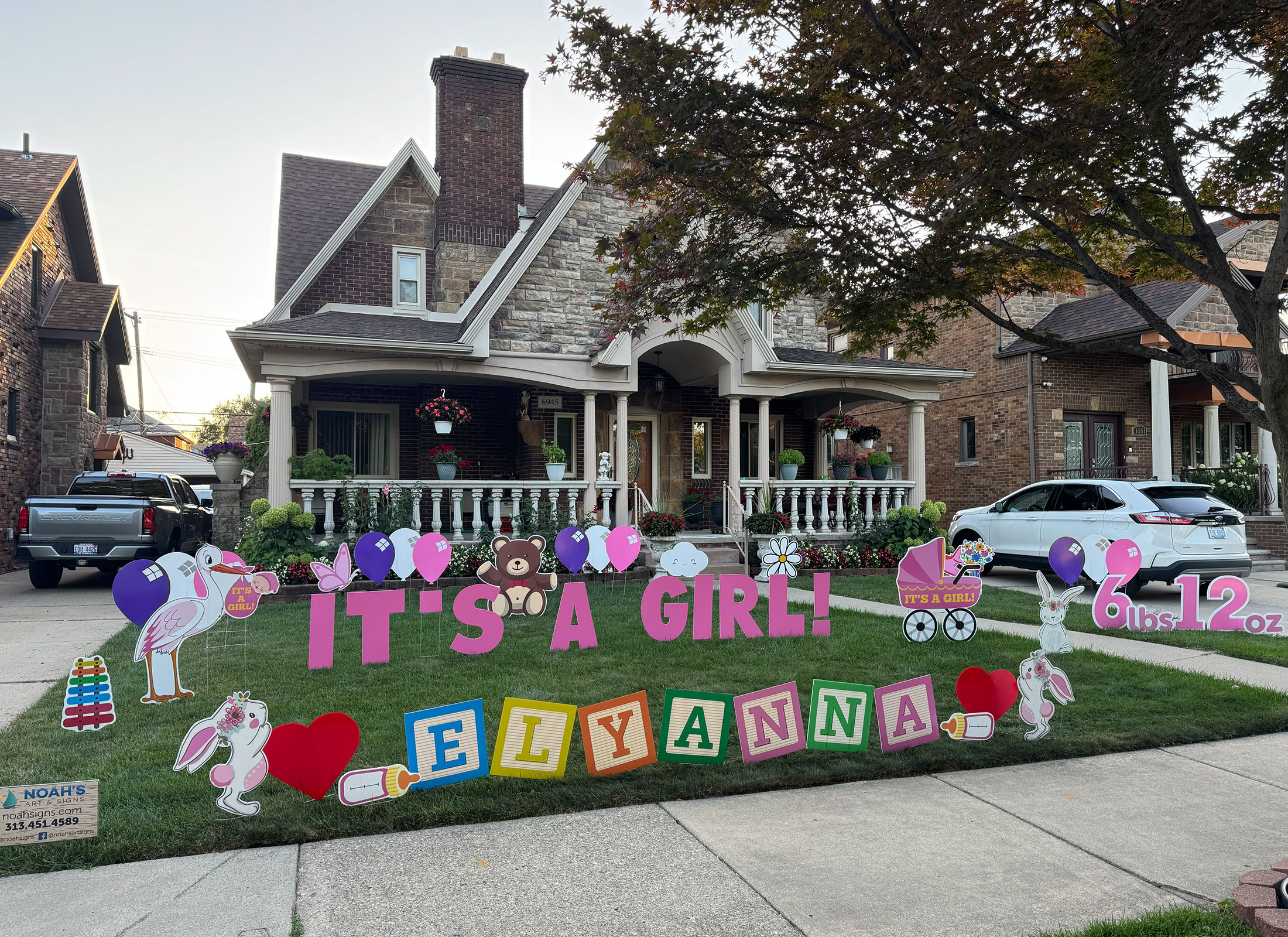 It's a Girl! Yard Greeting