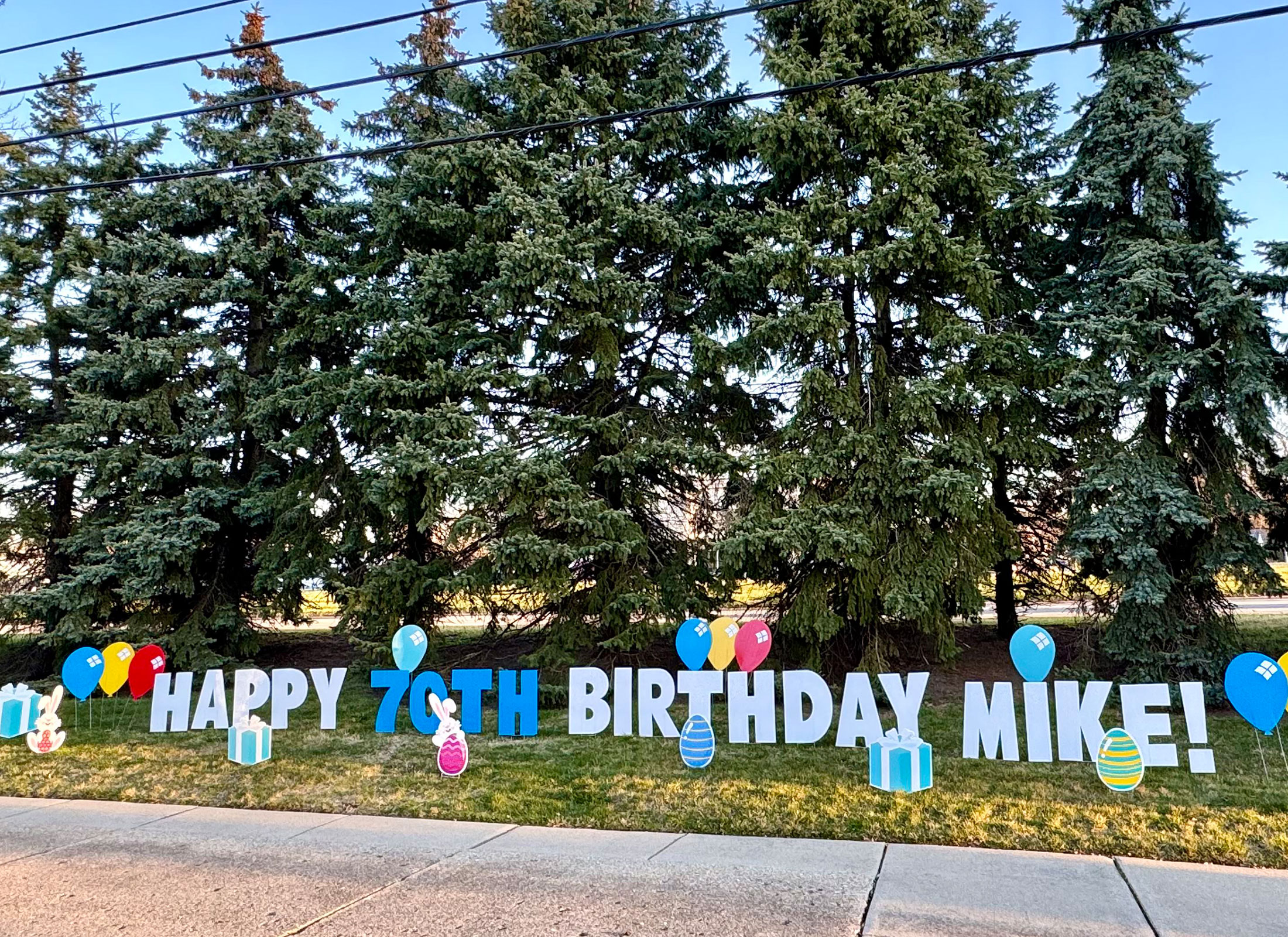 Happy Birthday Yard Greeting