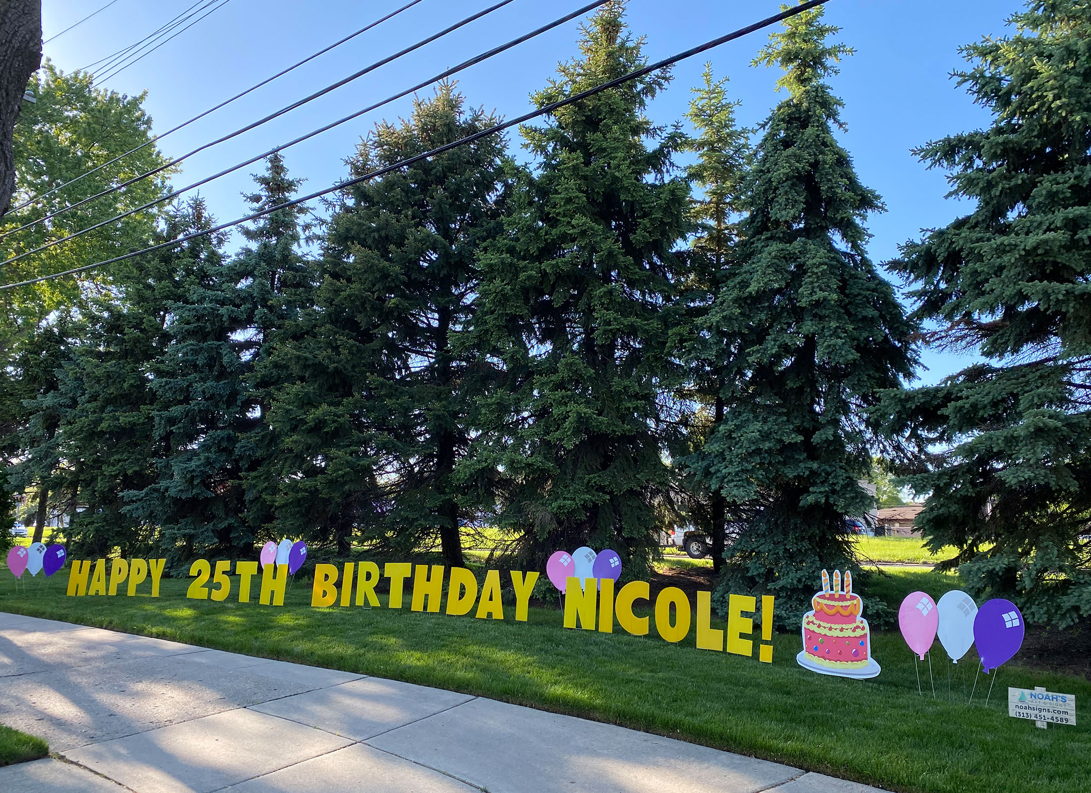 Happy Birthday Yard Greeting