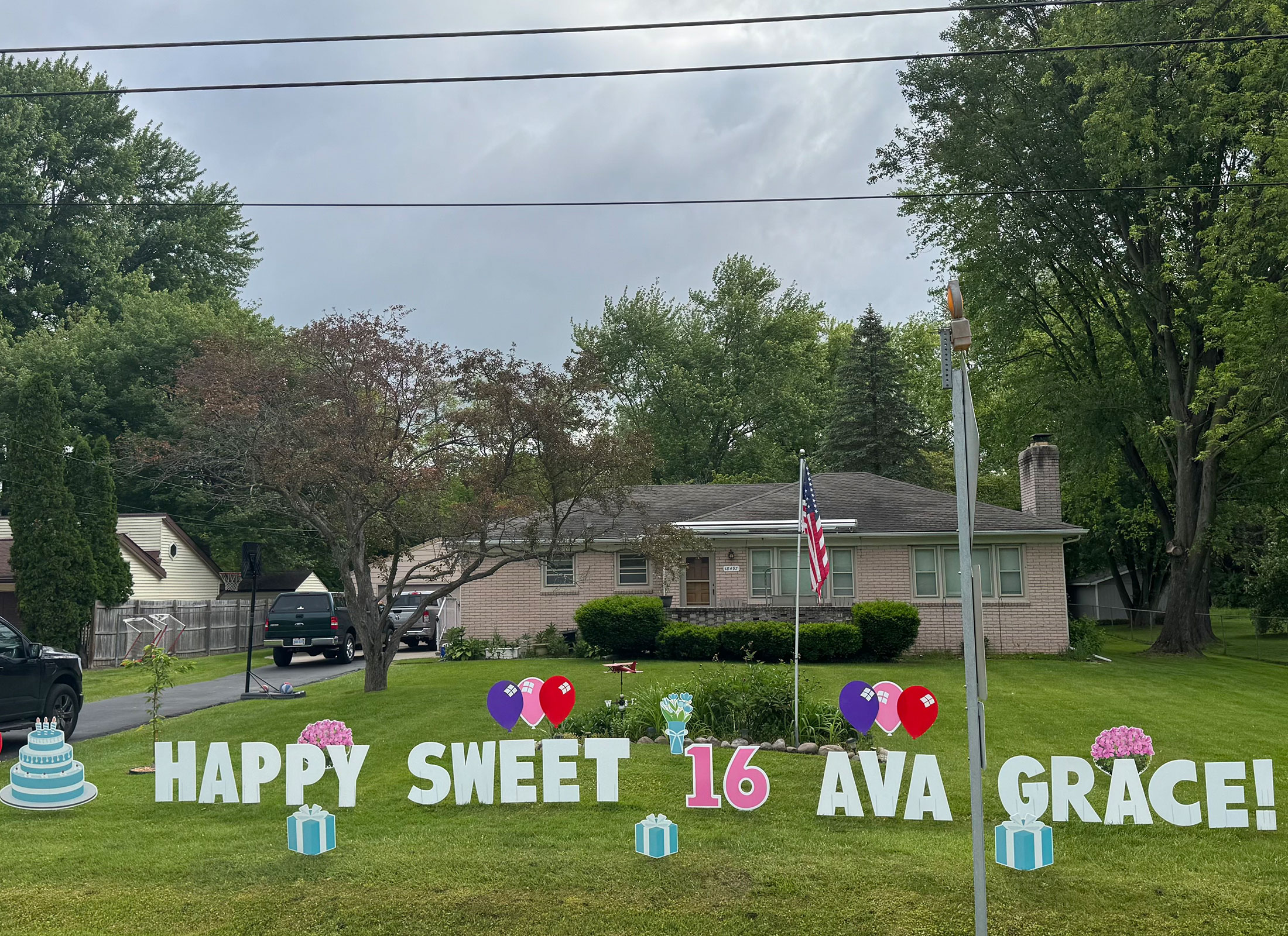 Happy Birthday Yard Greeting